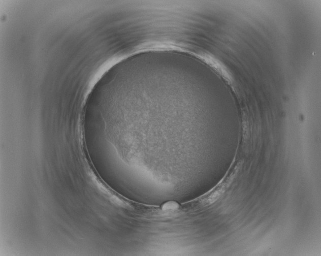 X0000072971382200608041207