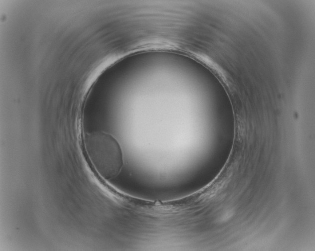 X0000072971383200608041207