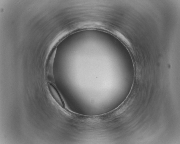 X0000072971384200608041207