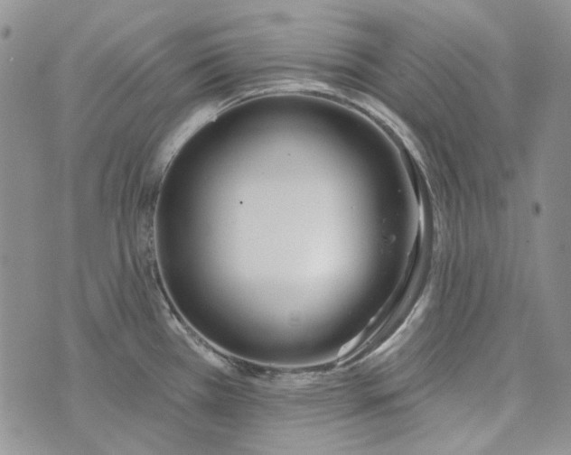 X0000072971385200608041207