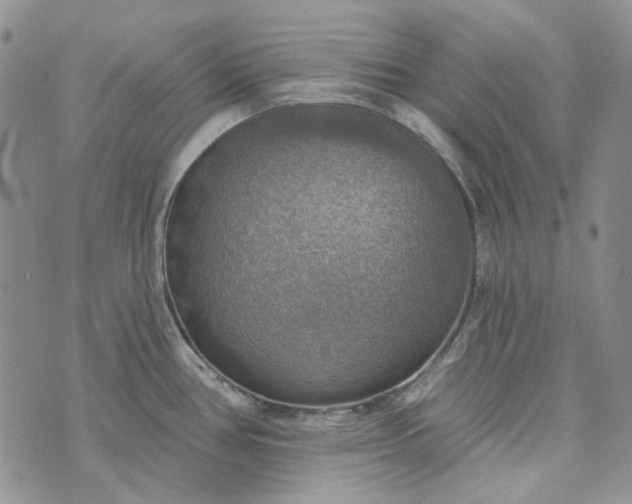 X0000072971386200608041207