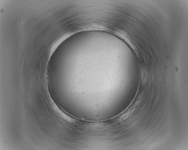 X0000072971387200608041207