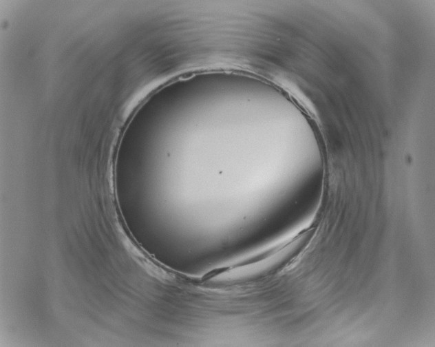 X0000072971388200608041207