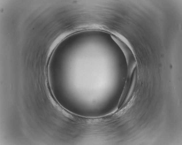 X0000072971389200608041207