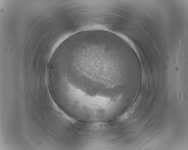 X0000072971390200608041207