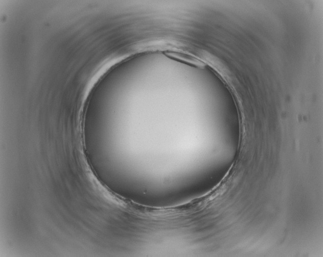 X0000072971392200608041207