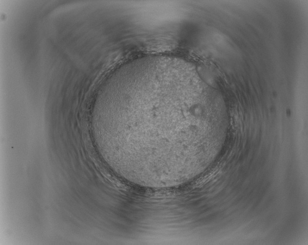 X0000072971393200608041206