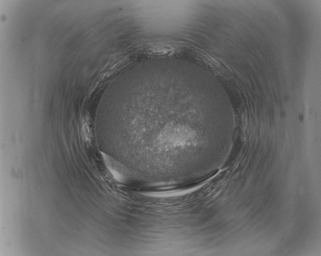 X0000072971394200608041206