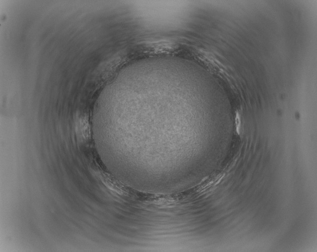 X0000072971395200608041206