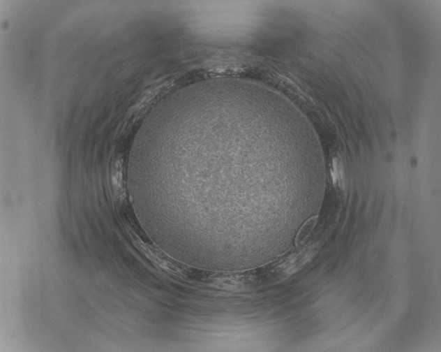 X0000072971396200608041206