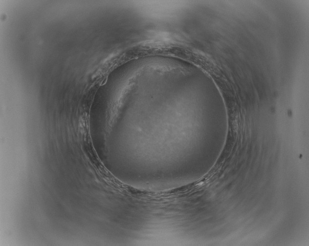 X0000072971397200608041206