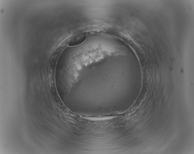 X0000072971399200608041206