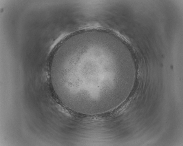 X0000072971400200608041206