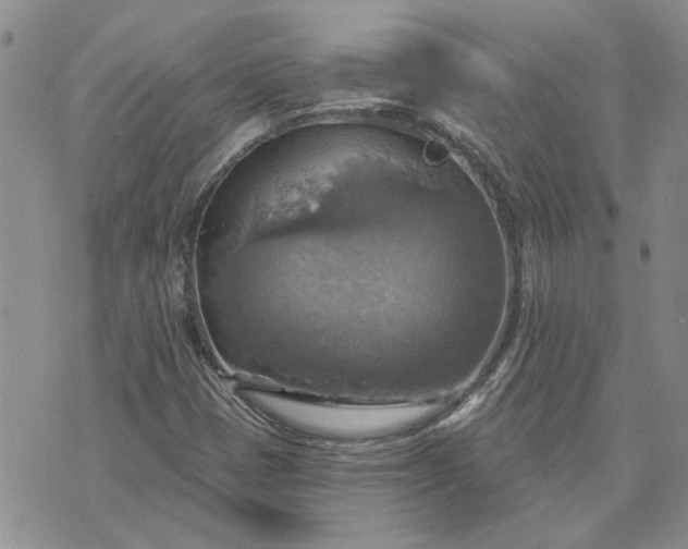 X0000072971401200608041206