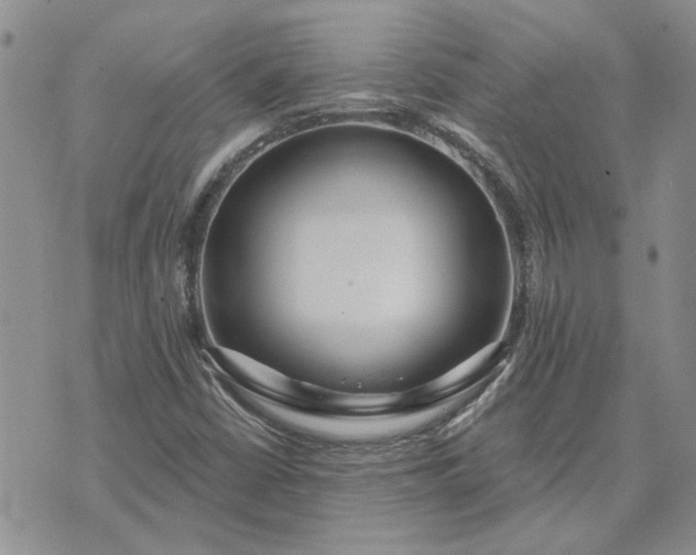 X0000072971402200608041206