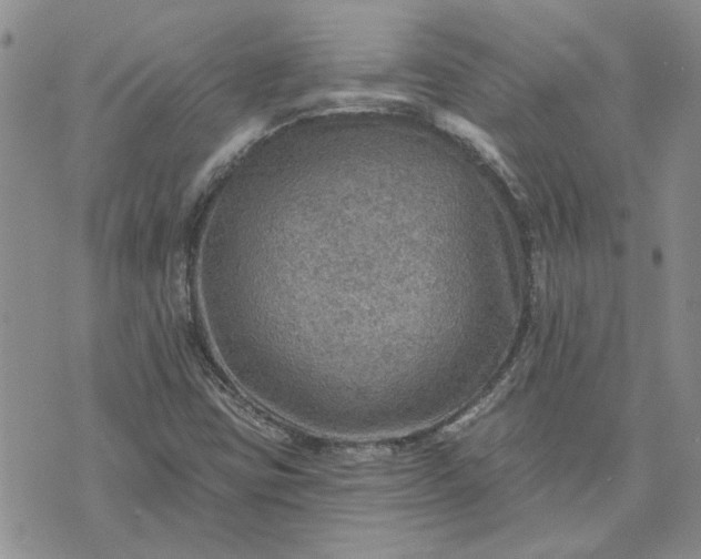 X0000072971403200608041206