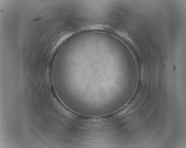 X0000072971404200608041206