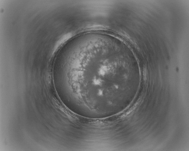 X0000072971405200608041206