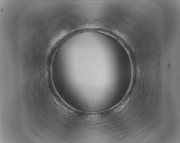 X0000072971406200608041206