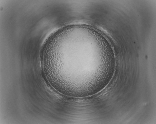 X0000072971408200608041206