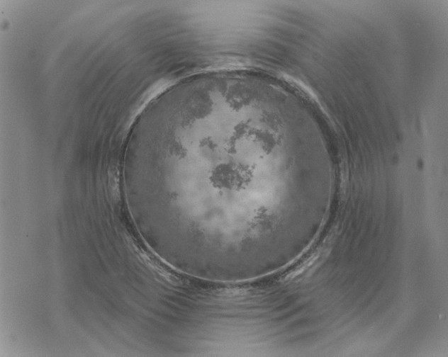 X0000072971409200608041206