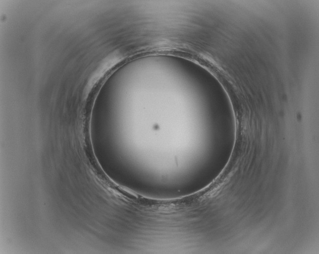 X0000072971410200608041206