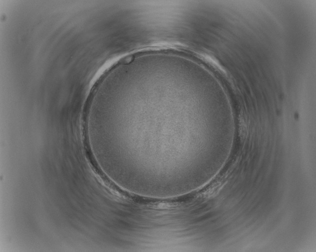 X0000072971412200608041206