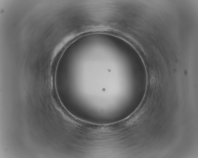 X0000072971414200608041206