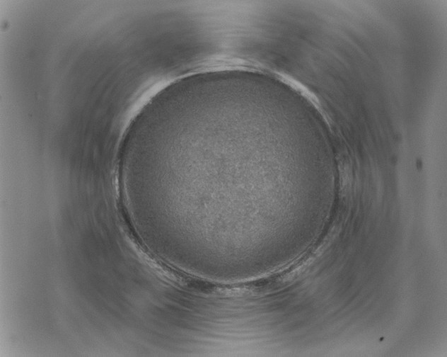 X0000072971415200608041206