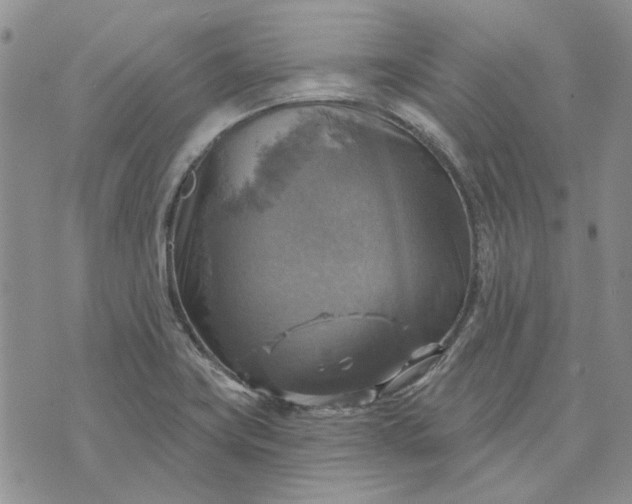 X0000072971419200608041206