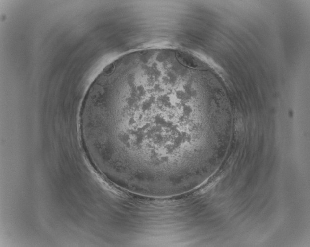 X0000072971423200608041207