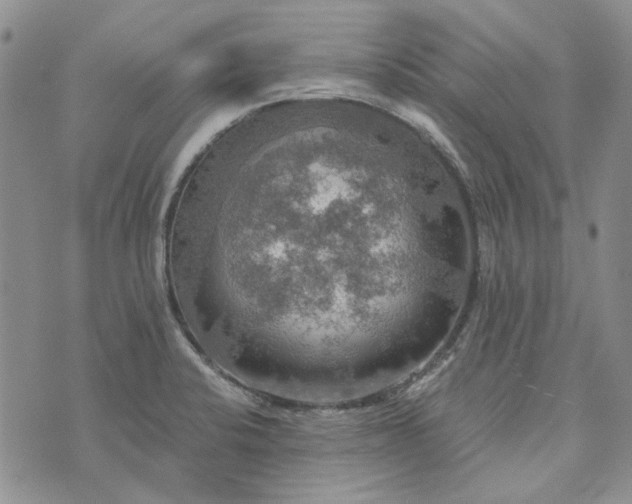 X0000072971424200608041207