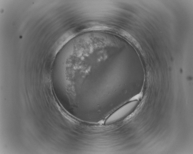 X0000072971425200608041207