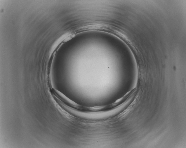 X0000072971426200608041207