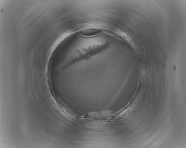 X0000072971427200608041207