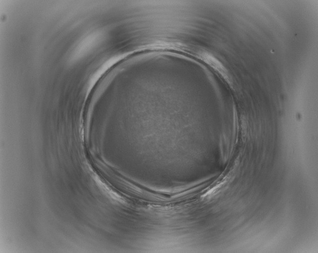 X0000072971428200608041207