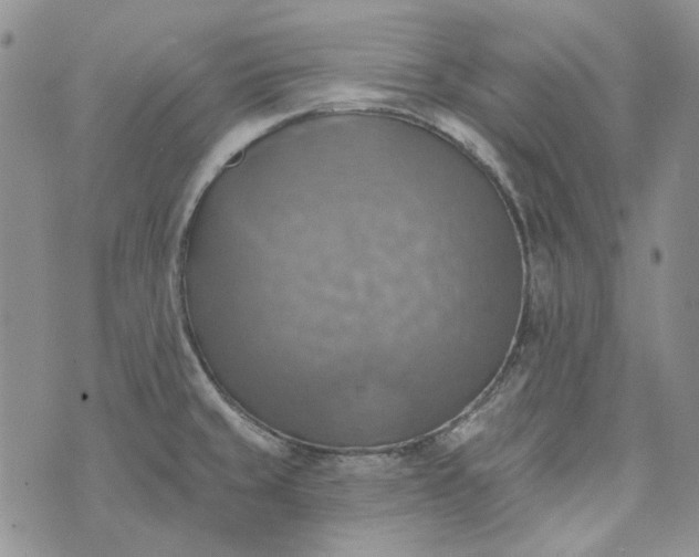 X0000072971429200608041207