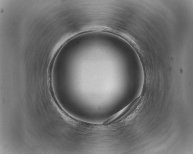 X0000072971430200608041207