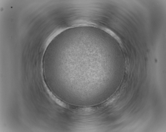 X0000072971431200608041207