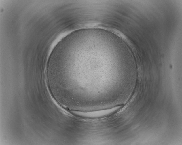 X0000072971432200608041207