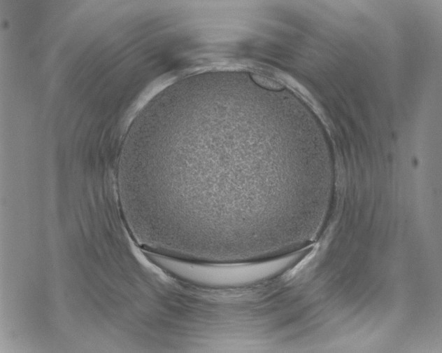 X0000072971433200608041207