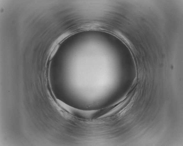 X0000072971434200608041207