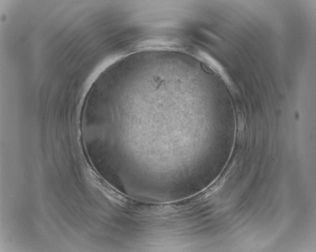 X0000072971435200608041207