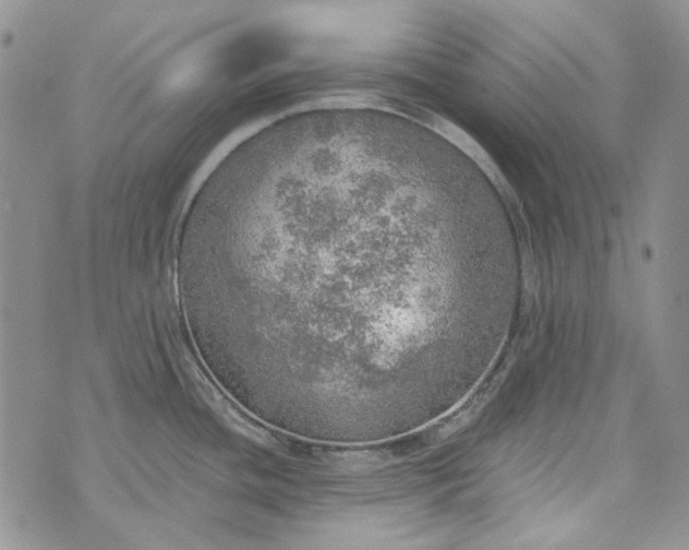 X0000072971436200608041207