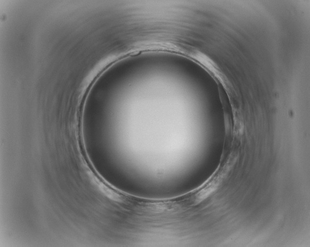 X0000072971438200608041207