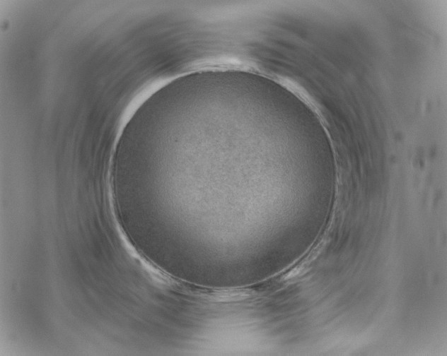 X0000072971440200608041207