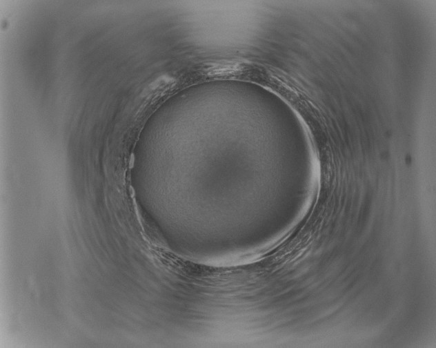 X0000072971441200608041206