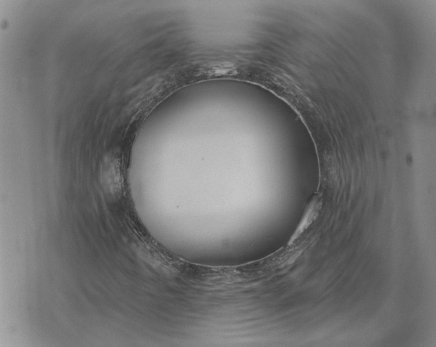 X0000072971442200608041206