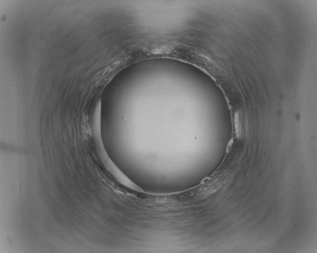 X0000072971443200608041206