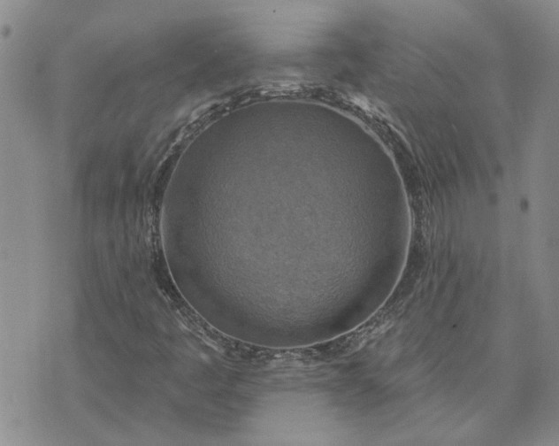 X0000072971445200608041206